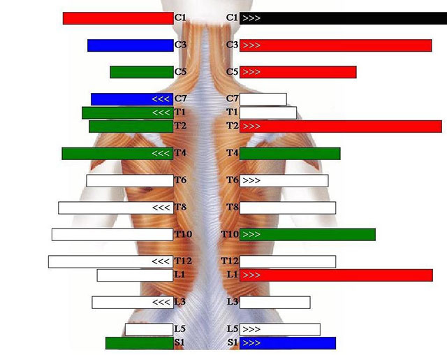 Our technique at Virtue Chiropractic in 